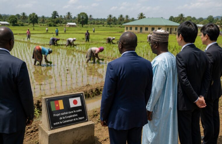 Le Japon investit 646 millions de dollars au Cameroun : dons, prêts et expertise au service du développement
