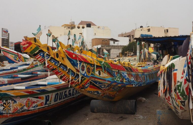 Sénégal : les importations explosent de 26,7% en juin 2024