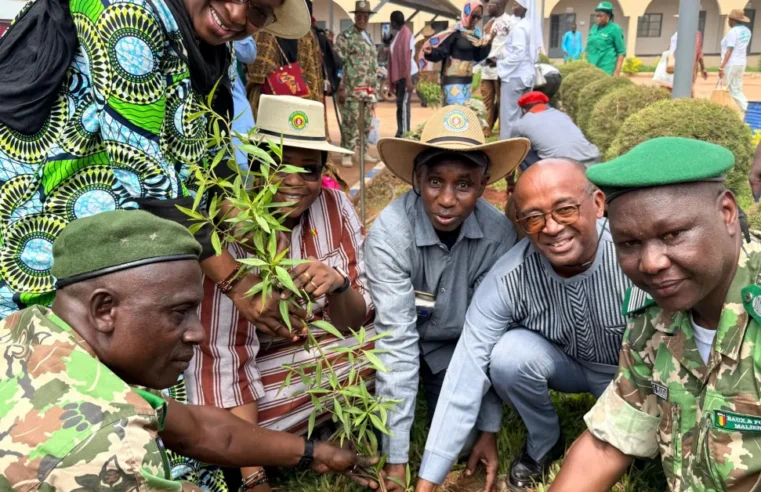 La jeunesse engagée pour un Mali plus vert et résilient