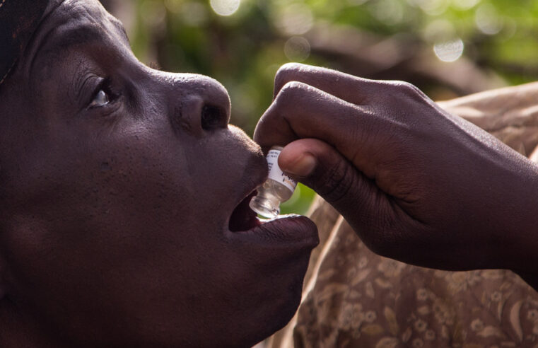 Épidémie de choléra au Tchad : bilan et mesures de lutte