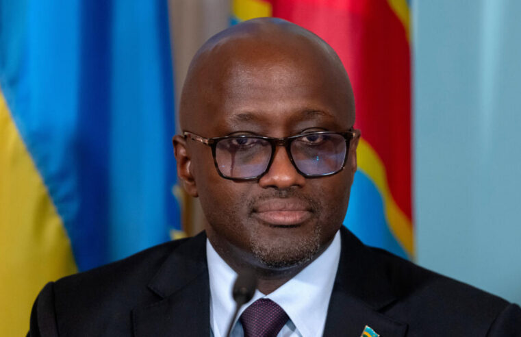 Protocole de reddition des fdlr en rdc : enjeux et défis à venir