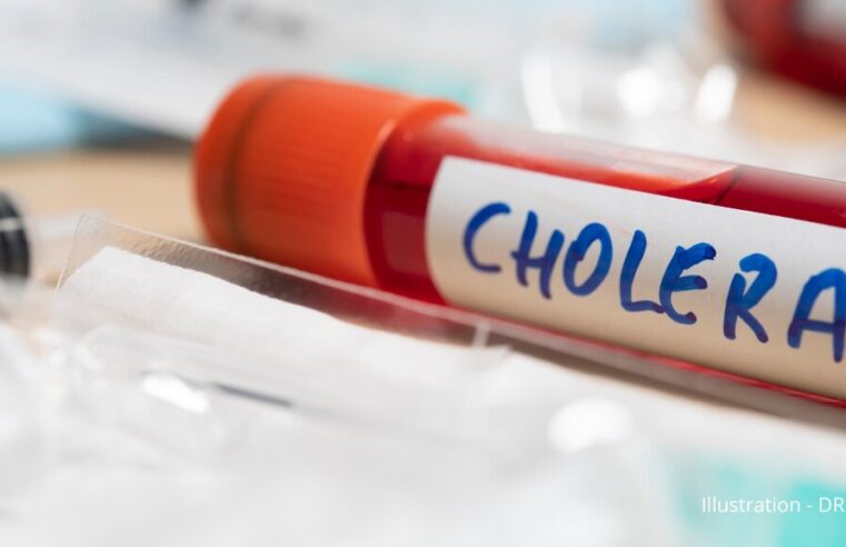 Épidémie de choléra au Tchad : 13 morts et 239 cas confirmés