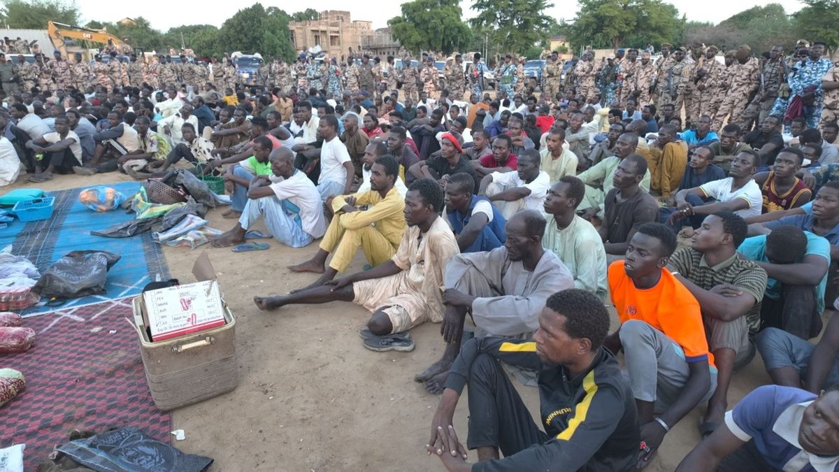 Opération sécuritaire à N’Djamena : 252 interpellations et saisies record